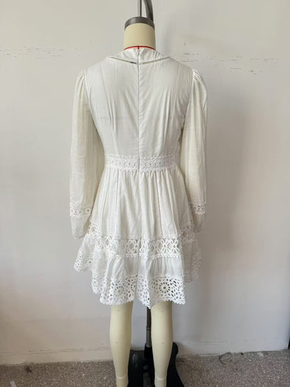 Embroidered lace dress